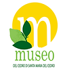 Logo Museo del Cedro